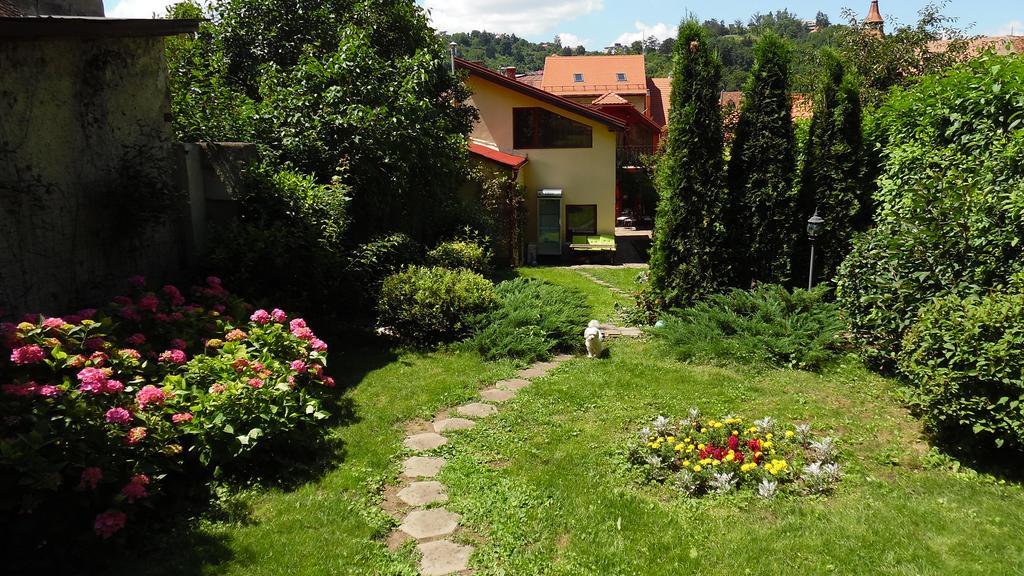 Doly House Villa Braşov Buitenkant foto